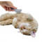 PETBRUSH4A
